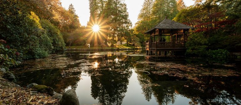 A pond surrounded by trees with a gazebo in the middle